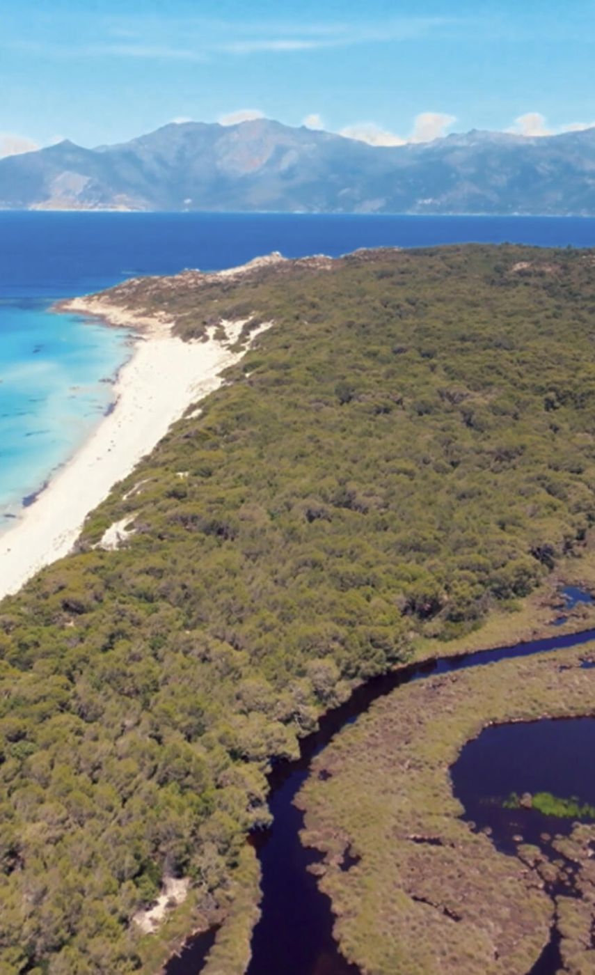 Randonnée 4x4 Agriates & Plage de Saleccia en Corse