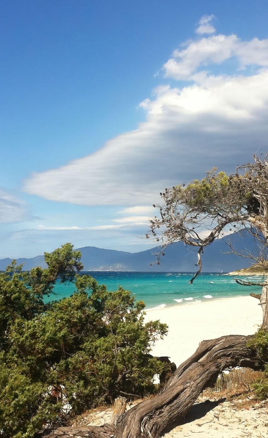 Randonnée 4x4 Mer et montagne en Corse